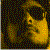 :iconel-terco:
