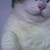 :iconel1sabeth: