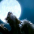 :iconelad1: