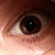 :iconeladitzkin: