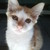 :iconelainereislins29: