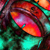:iconelaktoq: