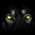 :iconelamaze: