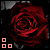 :iconelation-station: