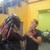 :iconelcougar112: