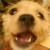 :iconelcrashero2222: