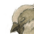 :iconeldagrimm: