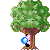 :iconelderbarkstables: