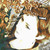 :iconelderberrydell: