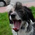 :iconeldest128: