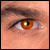 :iconele-gance: