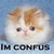 :iconelectara: