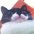 :iconelectric--fish:
