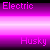:iconelectrichusky: