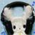 :iconelectricmayhem: