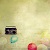 :iconelectricmeadows: