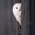 :iconelectricowl-ovo: