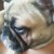 :iconelectricshock01: