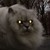 :iconelectricunderwear: