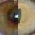 :iconelectrikstorm: