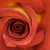 :iconelegaer-again: