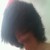 :iconelegant-force: