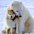 :iconelegant-willows: