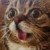:iconelegantwaster: