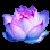 :iconelektriclotus: