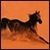 :iconelementalhorses: