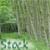 :iconelementangel-stock: