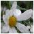 :iconelen-smiley: