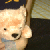 :iconelenaliet: