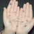 :iconelenamdf:
