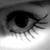 :iconelenoir: