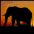 :iconelephant-shoulders: