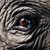 :iconelephant13: