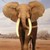 :iconelephant454: