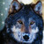 :iconelf-of-nature: