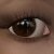 :iconelf-spirit: