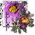 :iconelf46: