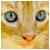 :iconelfins-creatures: