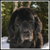 Elflady88 :iconelflady88: