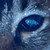 :iconelhazard-photography: