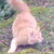 :iconelheym: