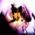 :iconeli-orchid: