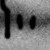 :iconeli-sa-beth: