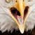 :iconeli-yah: