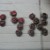 :iconeli9813: