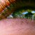 :iconelianaphotography: